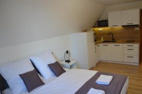 Villa Tatran Stara Lesna